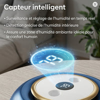 Humidificateur d'air domestique